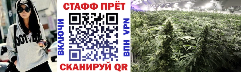 Купить наркотики цена Невинномысск Гашиш  СК  Codein  Меф мяу мяу 