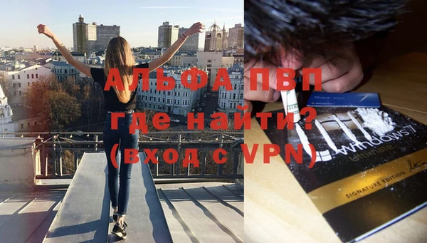прущие грибы Лагань