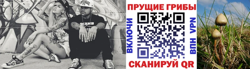 Псилоцибиновые грибы прущие грибы  Невинномысск 
