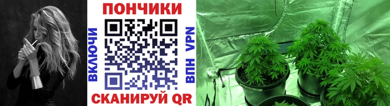 darknet Telegram  Невинномысск  Бошки Шишки THC 21%  где купить наркотик 